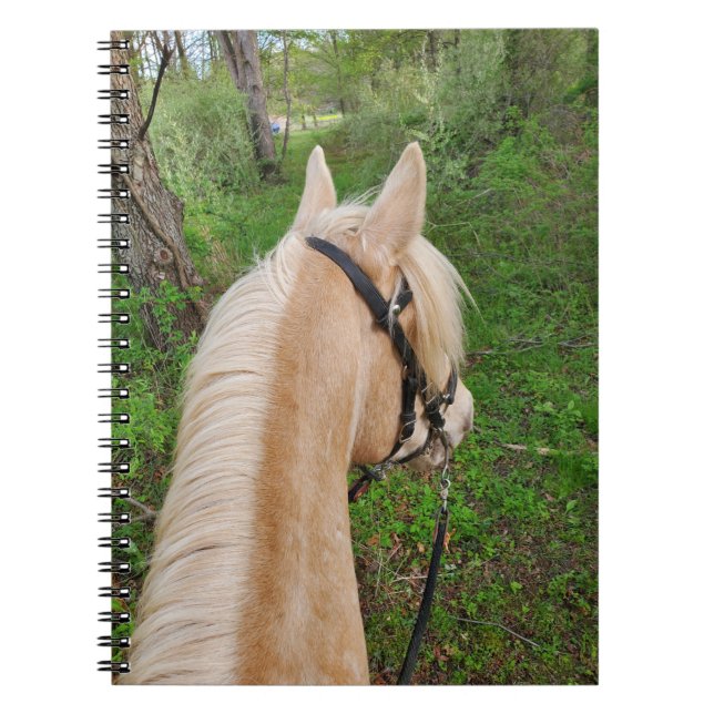 Horse notebook (Front)