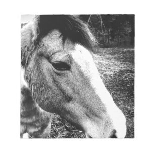Horse Notepad