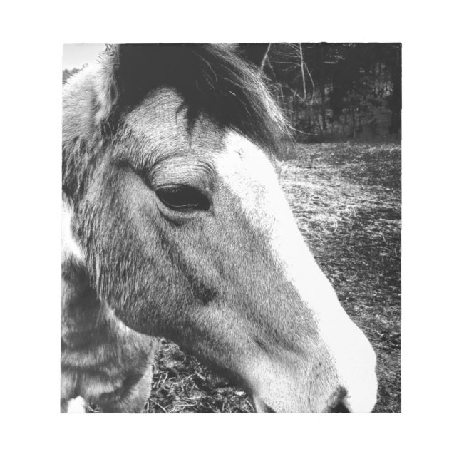 Horse Notepad (Front)