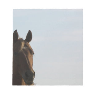 Horse Notpad Notepad