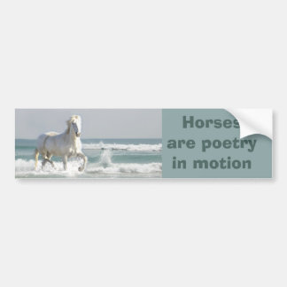 Horse Ocean Beauty Bumper Sticker