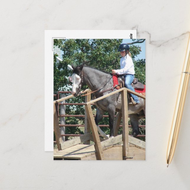 Horse on a Bridge Trail Class County Fair Postcard (Front/Back In Situ)