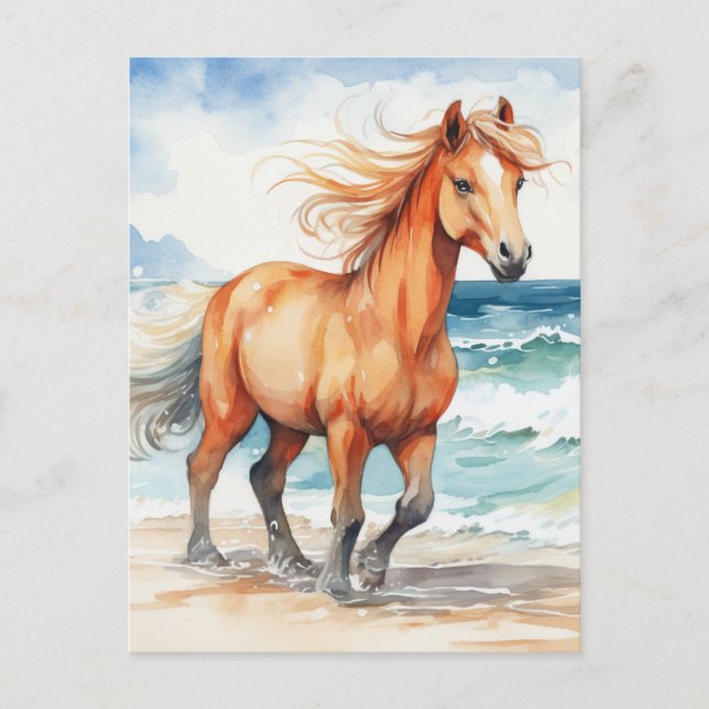 Horse on Beach Postcard (Front)