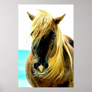 Horse on Beach Poster