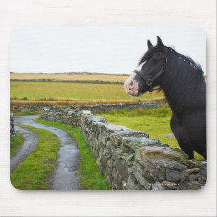 Horse on farm in rural England Mouse Pad