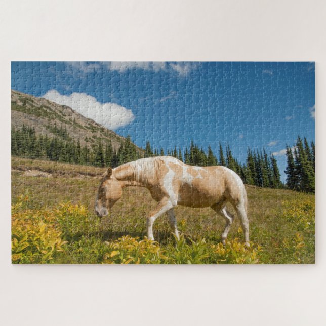 Horse on Grasses in an Alpine Meadow in Summer Jigsaw Puzzle (Horizontal)