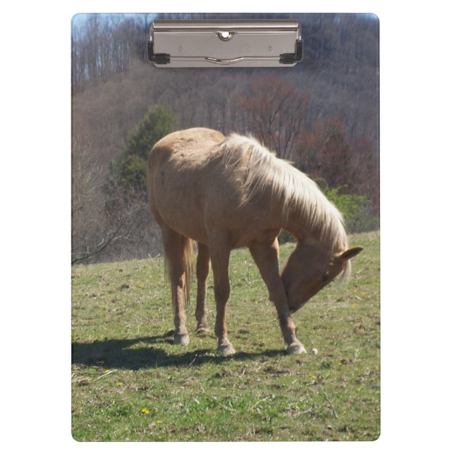 Horse on Hill Clipboard (Front)