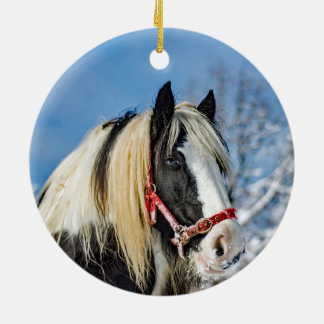 Horse Paint Snow Photo Ceramic Ornament (Back)