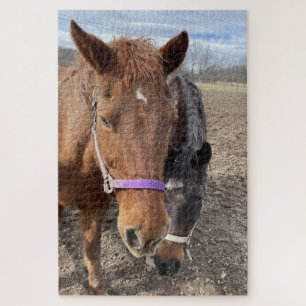 Horse Pair Jigsaw Puzzle