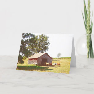 Horse Pasture 4 Card