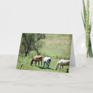 Horse Pasture Card