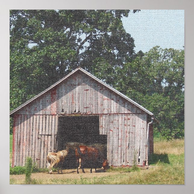 Horse Pasture Horse and Mini Horse Poster (Front)