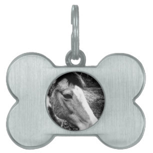 Horse Pet Name Tag