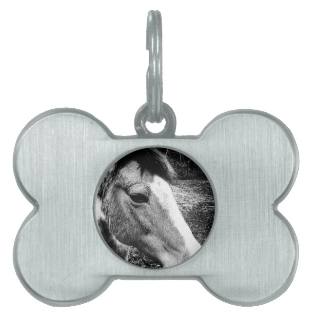 Horse Pet Name Tag (Front)