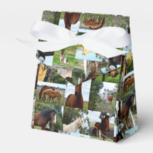 Horse Photo Collage, Favor Box
