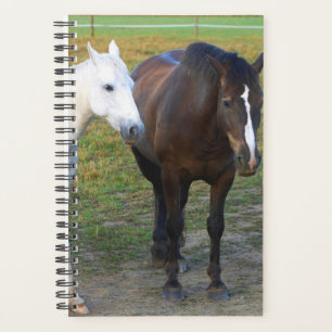 Horse Photo Equine Barn Buddies Planner