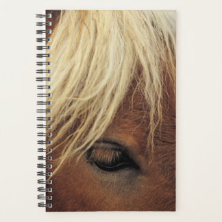 Horse Photo Equine Horse White Mane Planner