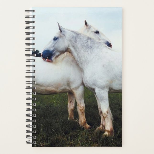 Horse Photo Equine Percherons Grooming Each Other Planner (Front)