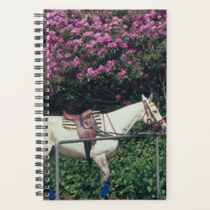 Horse Photo Equine Polo Pony Planner