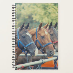 Horse Photo Equine Polo Pony String Planner