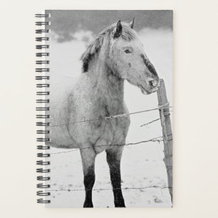 Horse Photo Equine Pony Snowstorm Planner