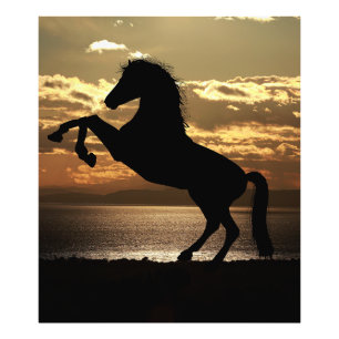 horse photo print