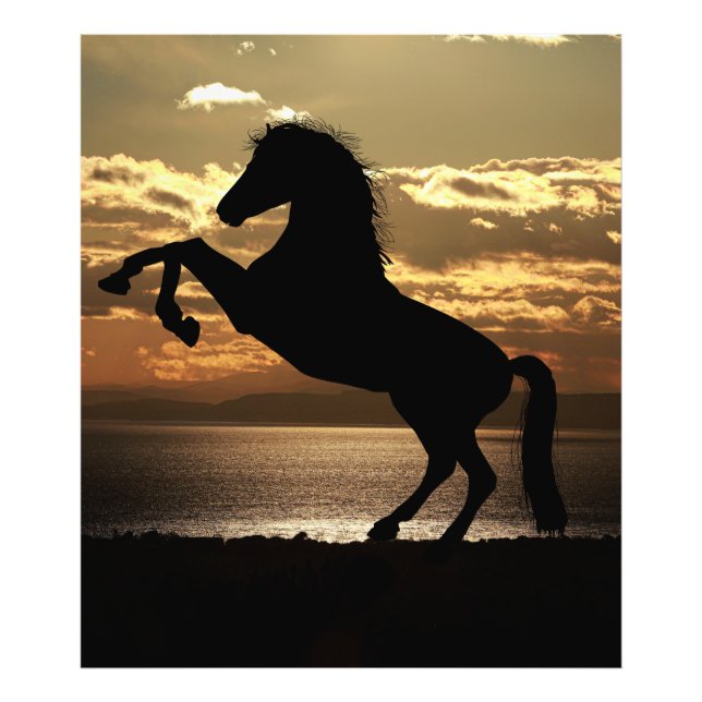 horse photo print (Front)