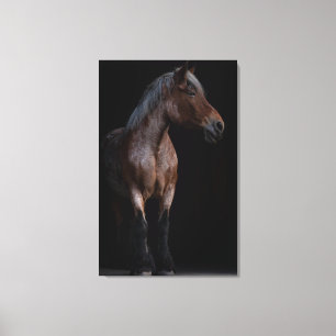 Horse Photography Canvas Print