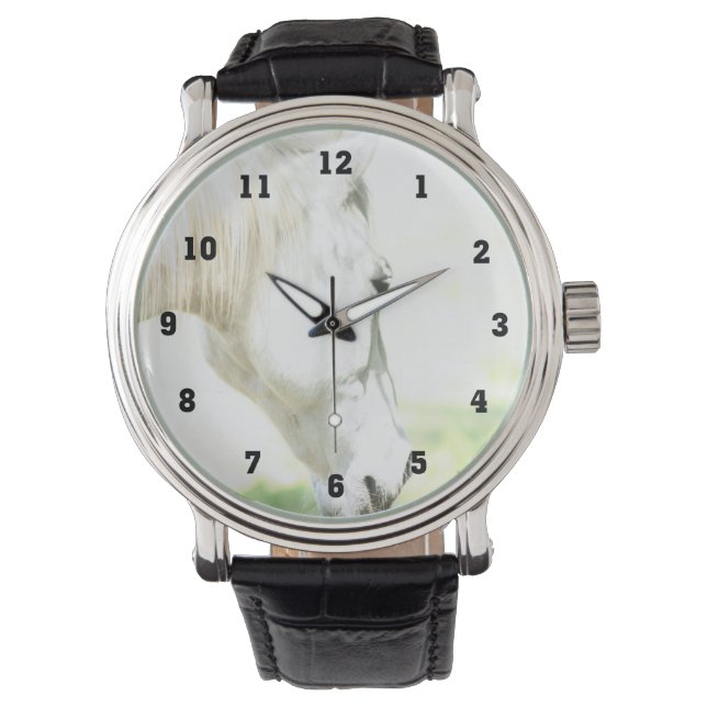 Horse Photography Montres (devant)