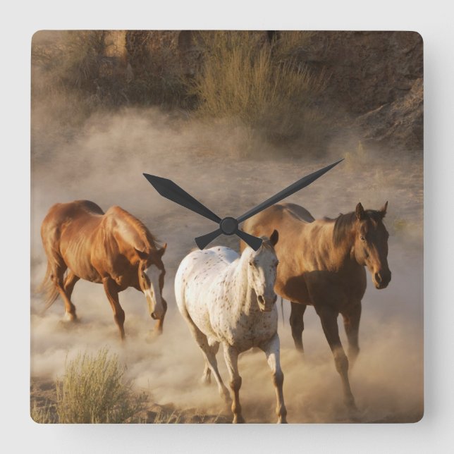 horse photography square wall clock (Front)
