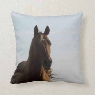 Horse pillow