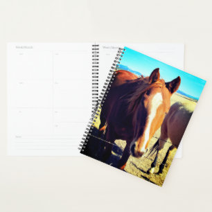 Horse Planner