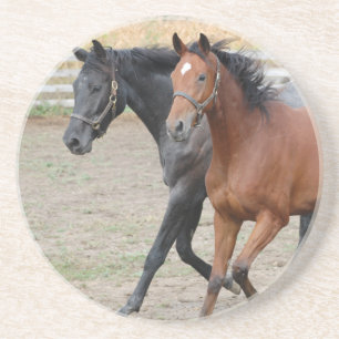 Horse Play Coaster