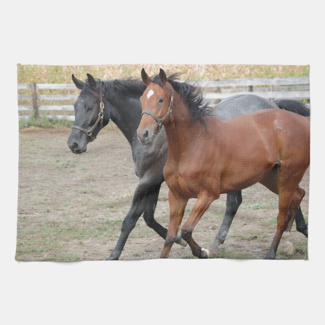Horse Play Kitchen Towel (Horizontal)