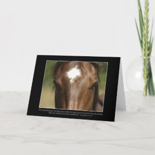 Horse & poem Greeting Cards or Note Cards