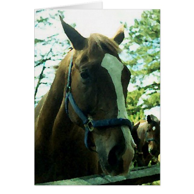 Horse Portrait (Front)