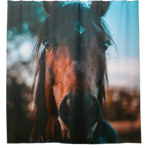 HORSE PORTRAIT