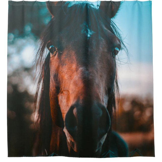 HORSE PORTRAIT (Front)