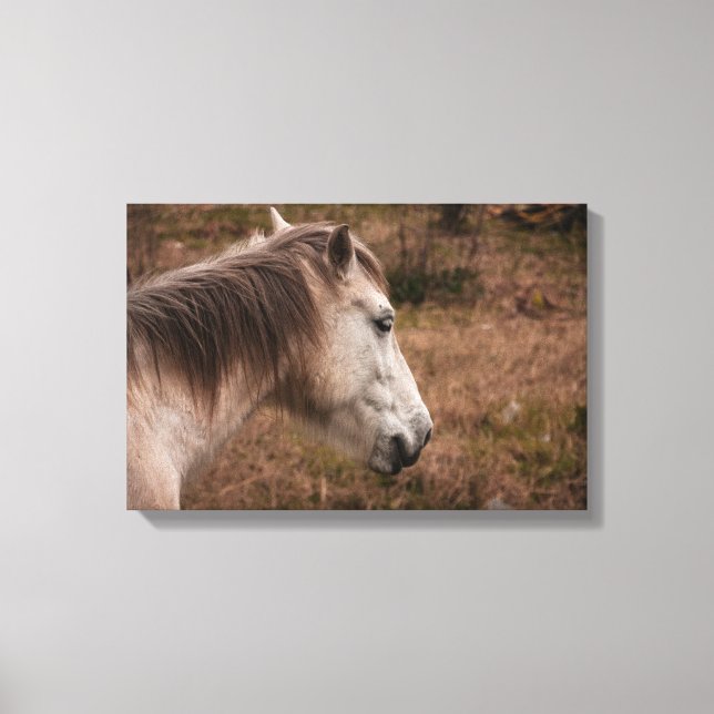 Horse portrait canvas print (Front)