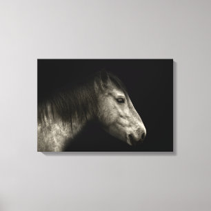 Horse portrait canvas print