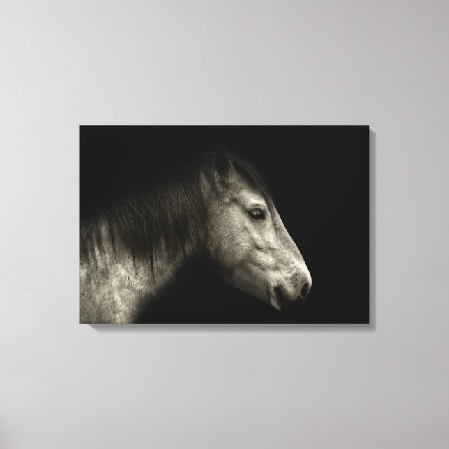 Horse portrait canvas print (Front)