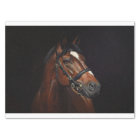 Horse Portrait Ephemera Decoupage Vintage