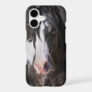 Horse Portrait II