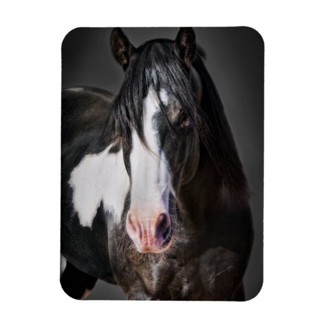 Horse Portrait II Magnet (Vertical)