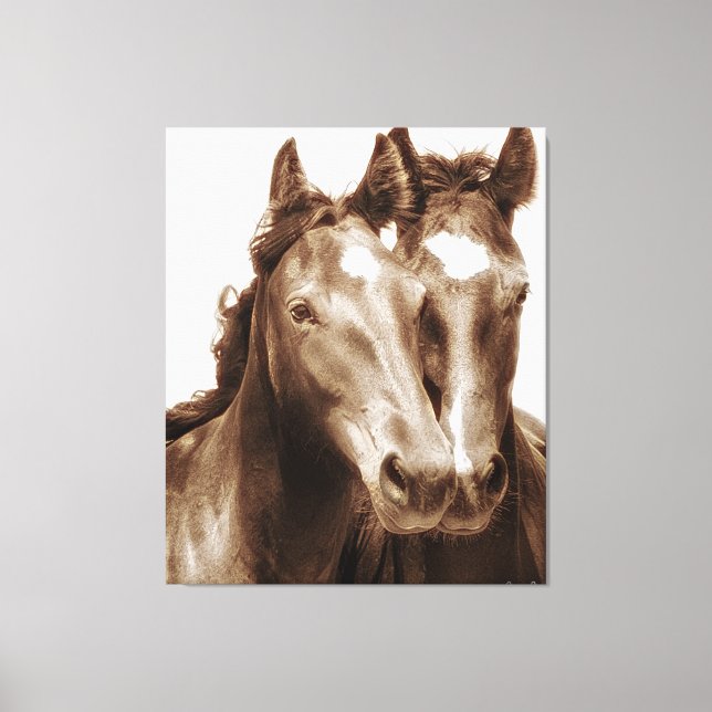 Horse Portrait III Canvas Print (Front)