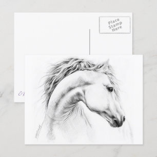 Horse portrait pencil drawing Equestrian art Postcard