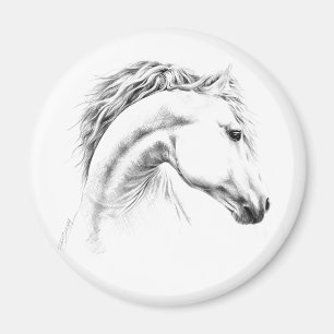 Horse portrait pencil drawing Magnet