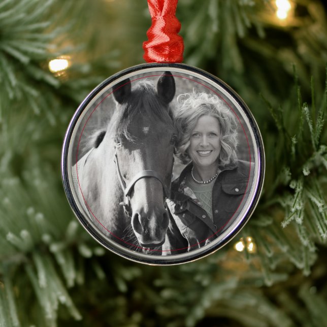 Horse Portrait Pet Lover PHOTO Holiday Fun Metal Ornament (Tree)