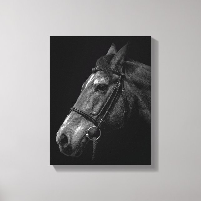 Horse Portrait Photo on Black Canvas Print (Front)