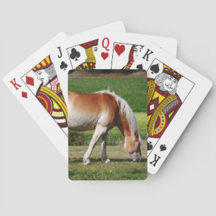 Horse portrait playing cards